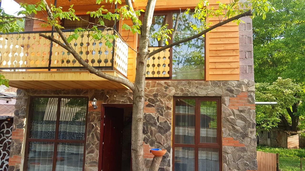 Levani'S Cottage Borjomi Luaran gambar