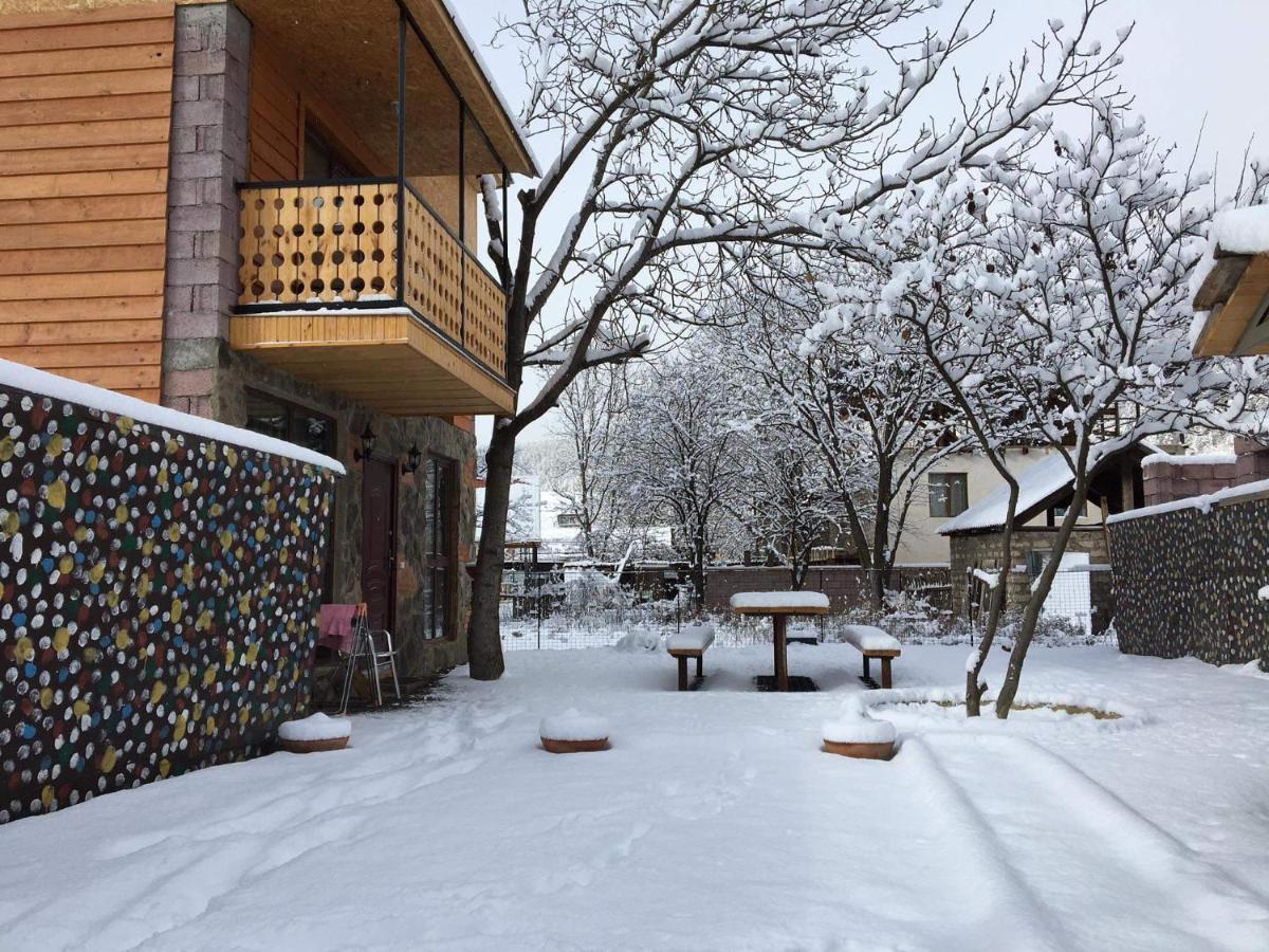 Levani'S Cottage Borjomi Luaran gambar